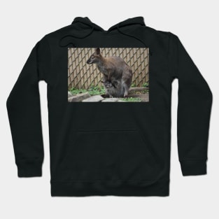 Wallaby and Joey Hoodie